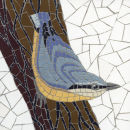 Nuthatch